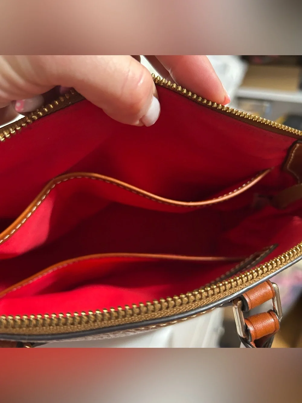 Dooney and Bourke Florentine Geena Satchel Leather Handbag